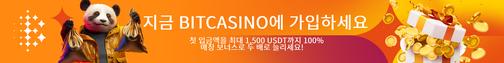 지금 Bitcasino에